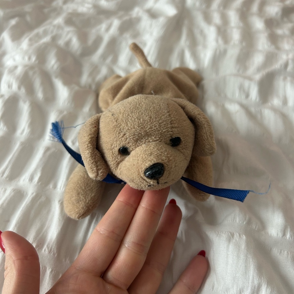 Adorable Tan Stuffed Dog Toy
